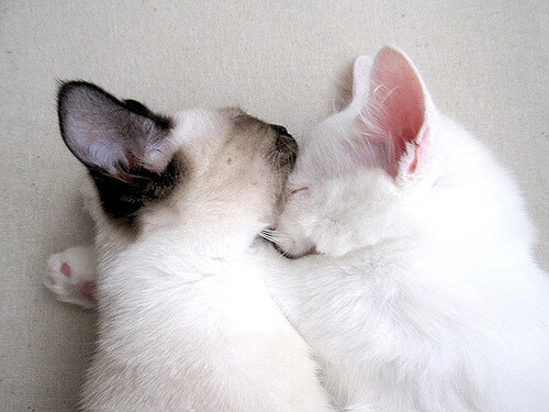 《电竞产业链深入:从硬件到媒体全覆盖》,电竞的产业链