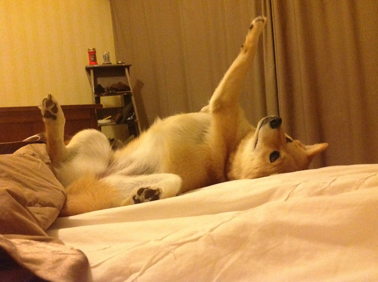 亚洲赛事引发争议,公平裁判成热议话题,亚洲区赛制