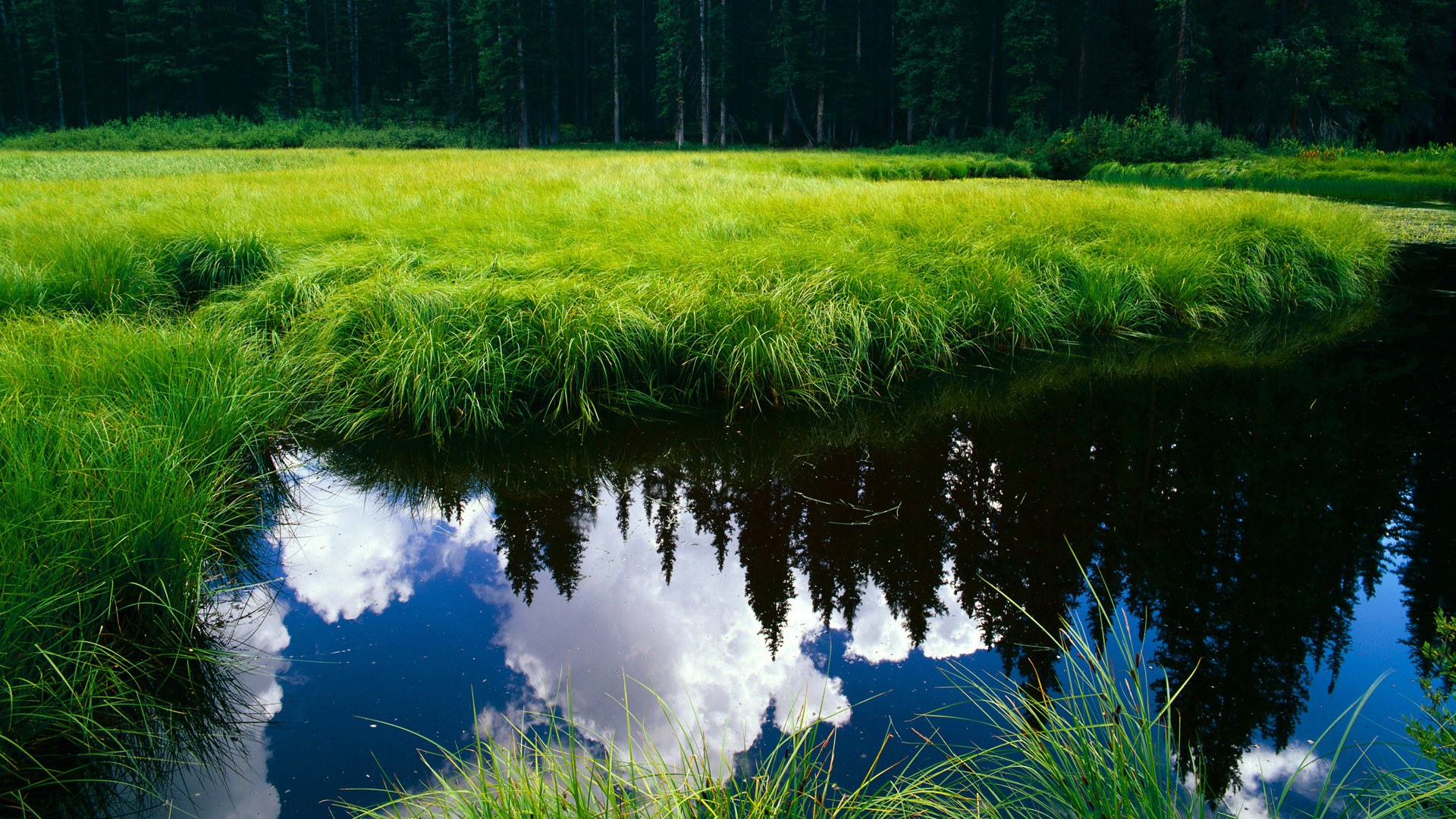 哥伦比亚马术协会与非洲马术协会开展技术援助项目,提升当地水平。