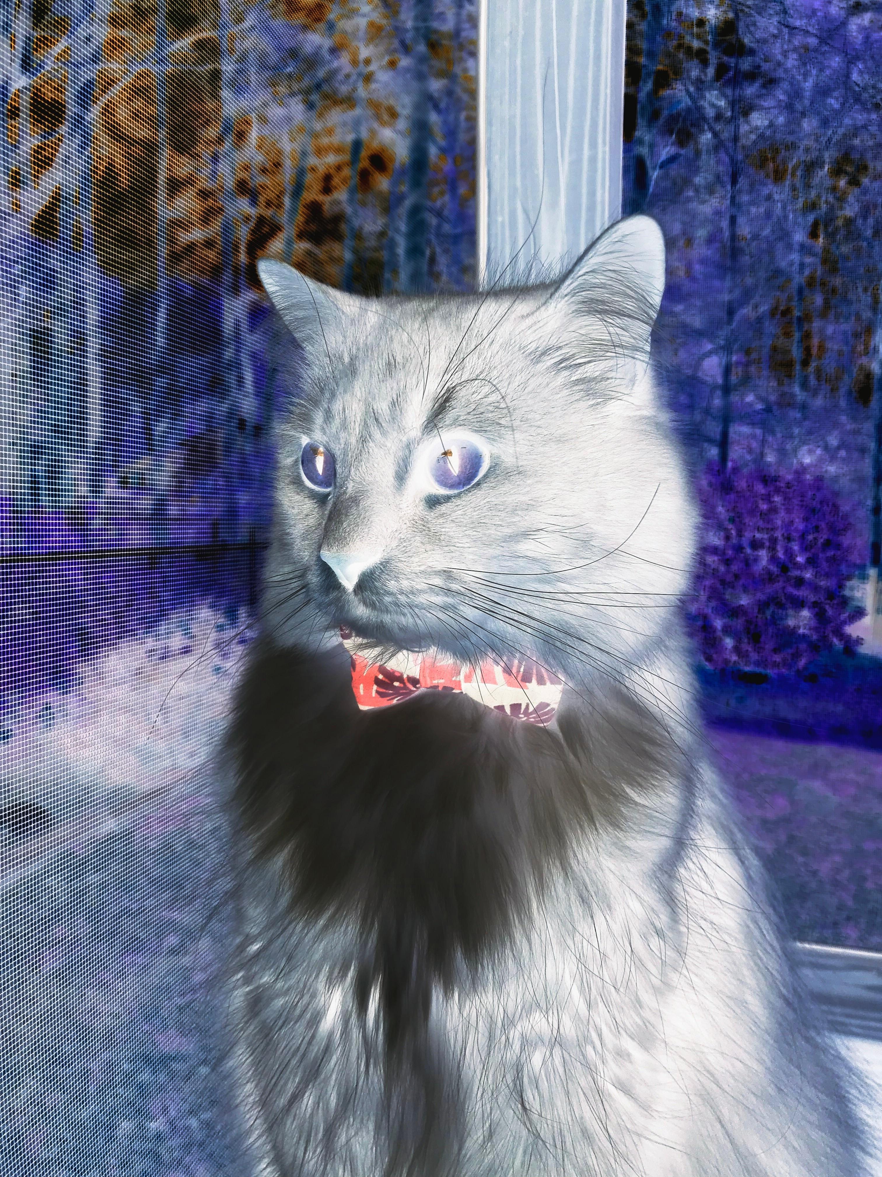 开云APP-垂钓比赛，淡定享受钓鱼乐趣，2020年垂钓比赛