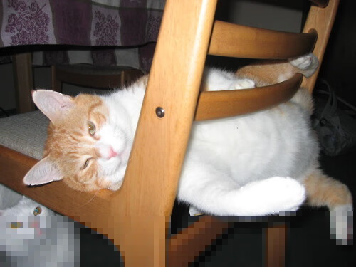 德甲比赛精彩纷呈，变化多端的战术带来丰富看点，德甲赛制规则