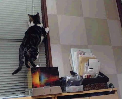 掘金发布“战术数据公开课”,提升球迷篮球素养,掘金队战术