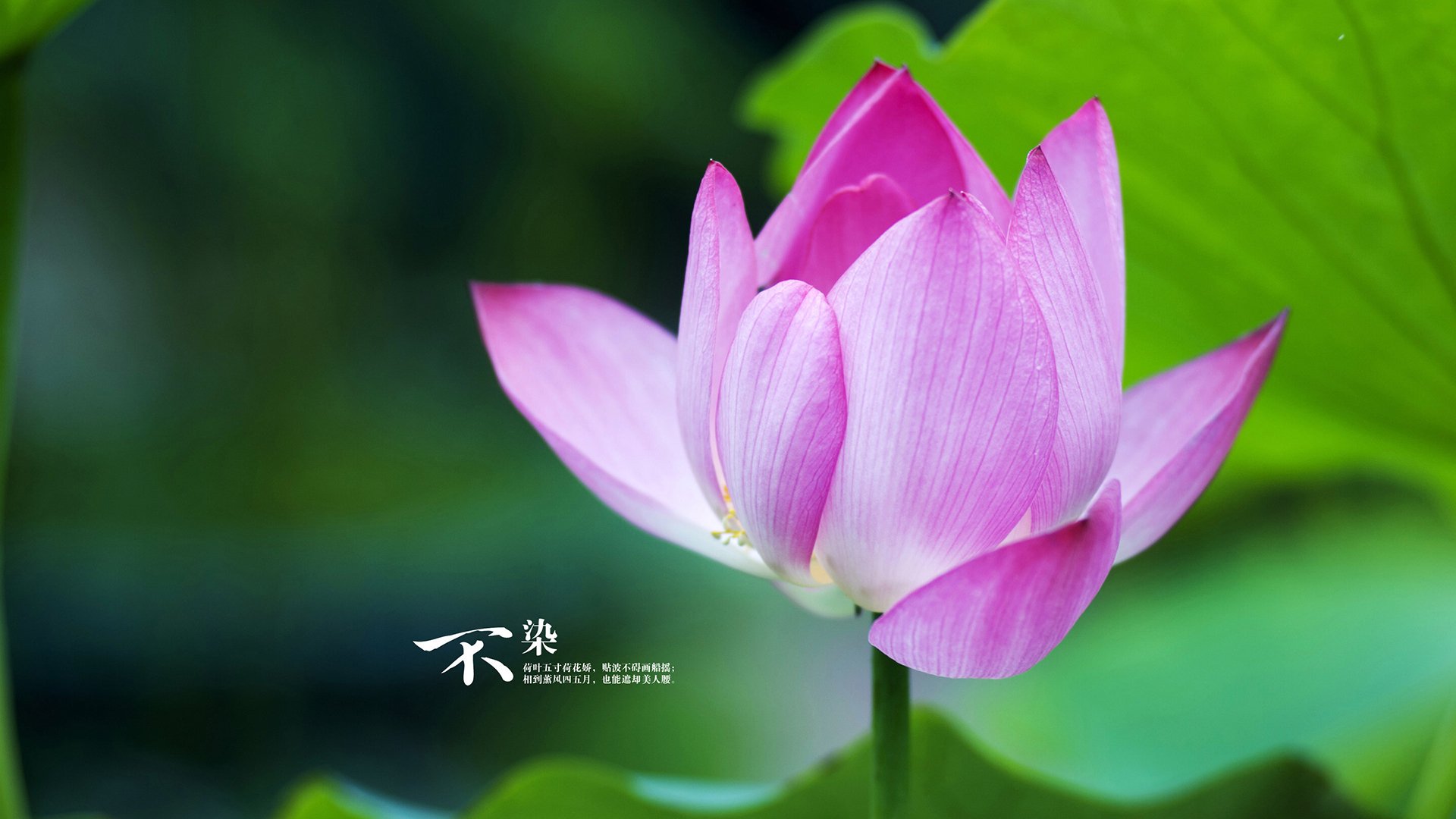 数字化青训平台实现重脑力打造,提升青少年训练科学水平,全国青少年数字化教育