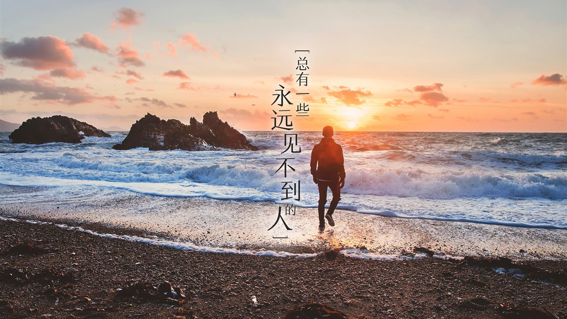 数字化青训平台实现重脑力打造,提升青少年训练科学水平,全国青少年数字化教育