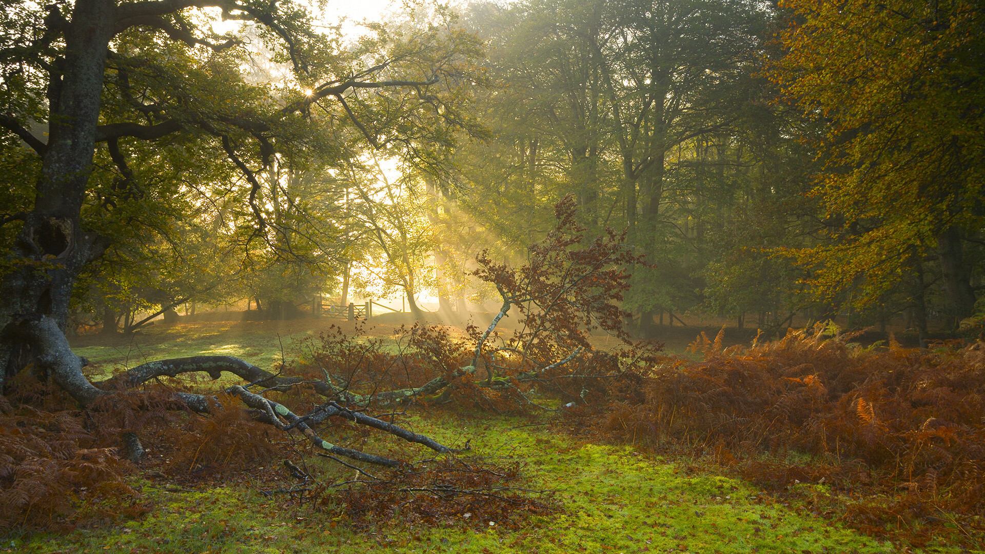 kaiyun.com-日本赛道：融合传统与科技的奇迹，日本三大赛道