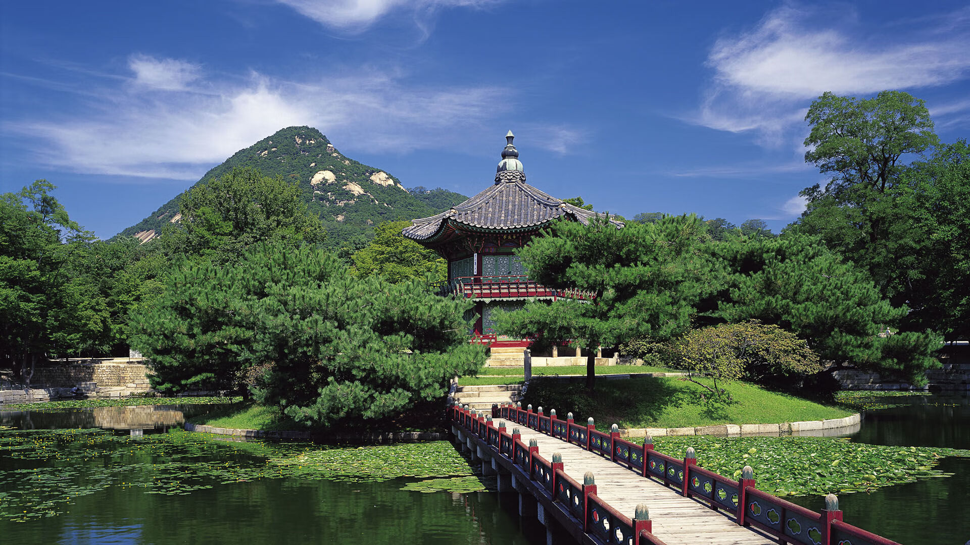 篮球装备智能监测系统走红，运动科学新纪元开启，篮球运动训练监控