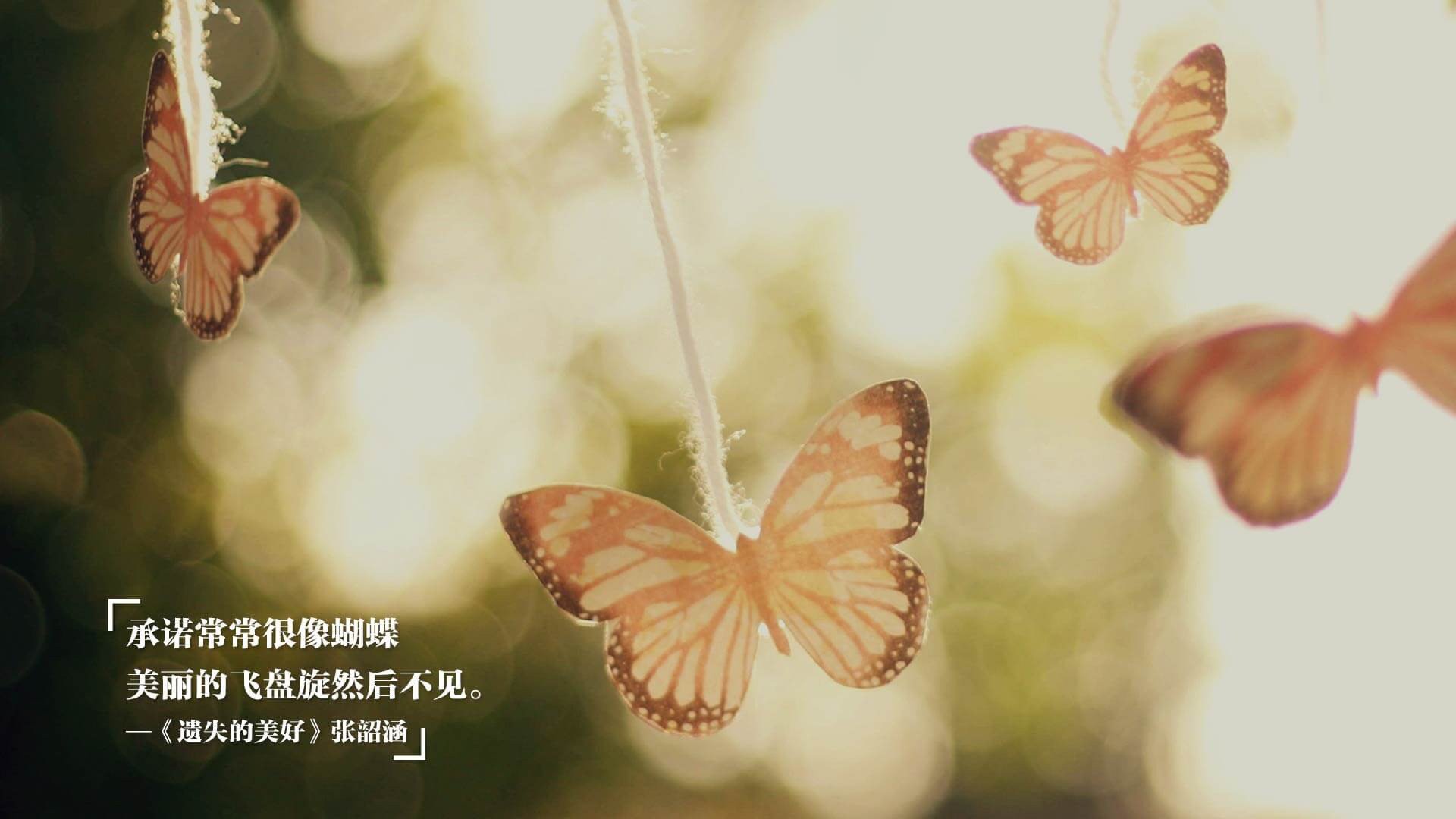 西甲“全能”门将,精彩扑救跃升比赛新高度,西甲门将号码规定