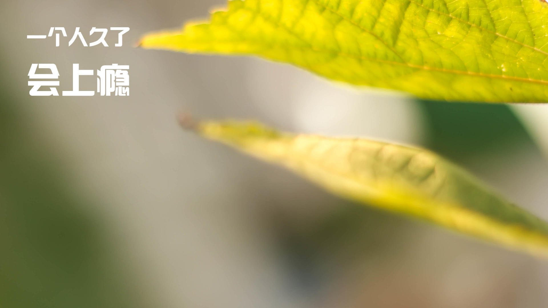 青少年足球基础设施全面升级,家庭支持度持续提升,青少年足球基础训练