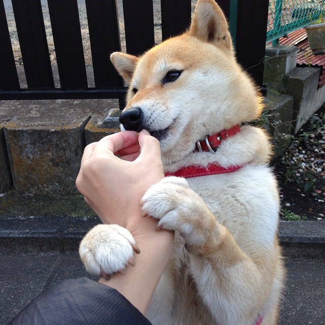 kaiyun体育-青春风暴！英格兰U23全线爆发，英格兰u23联赛打多久