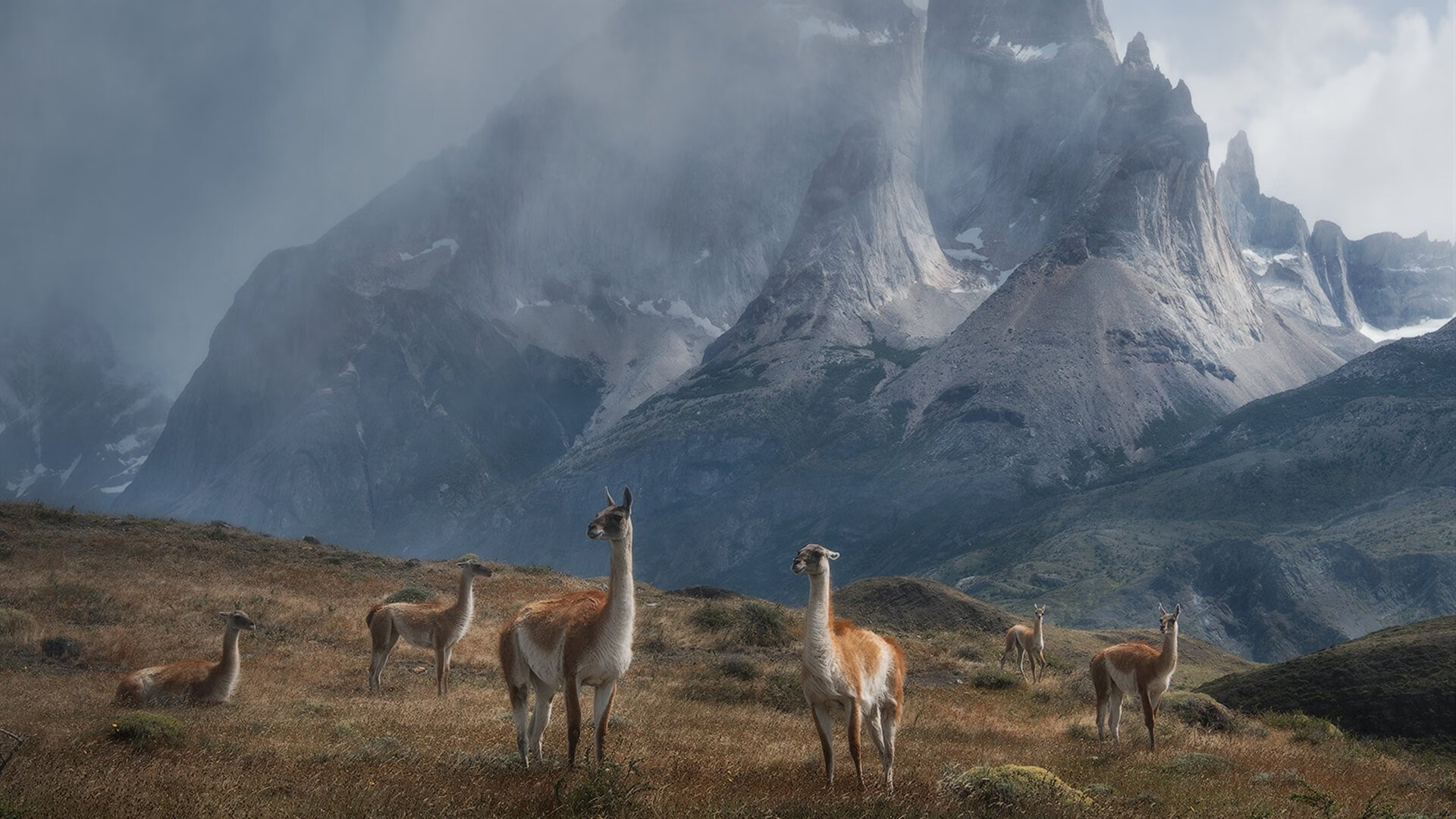 国内职业足球联赛赛程密集，球队备战准备充足，职业足球赛事