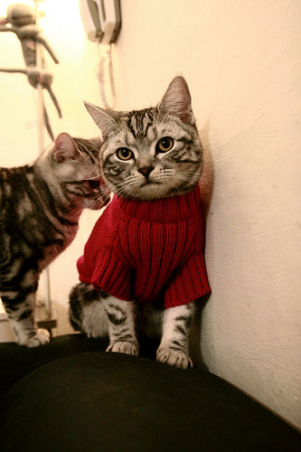 kaiyun.com-多特蒙德主场2-1逆转美因茨，艰难取胜，多特蒙德对美因茨聚胜顽球汇