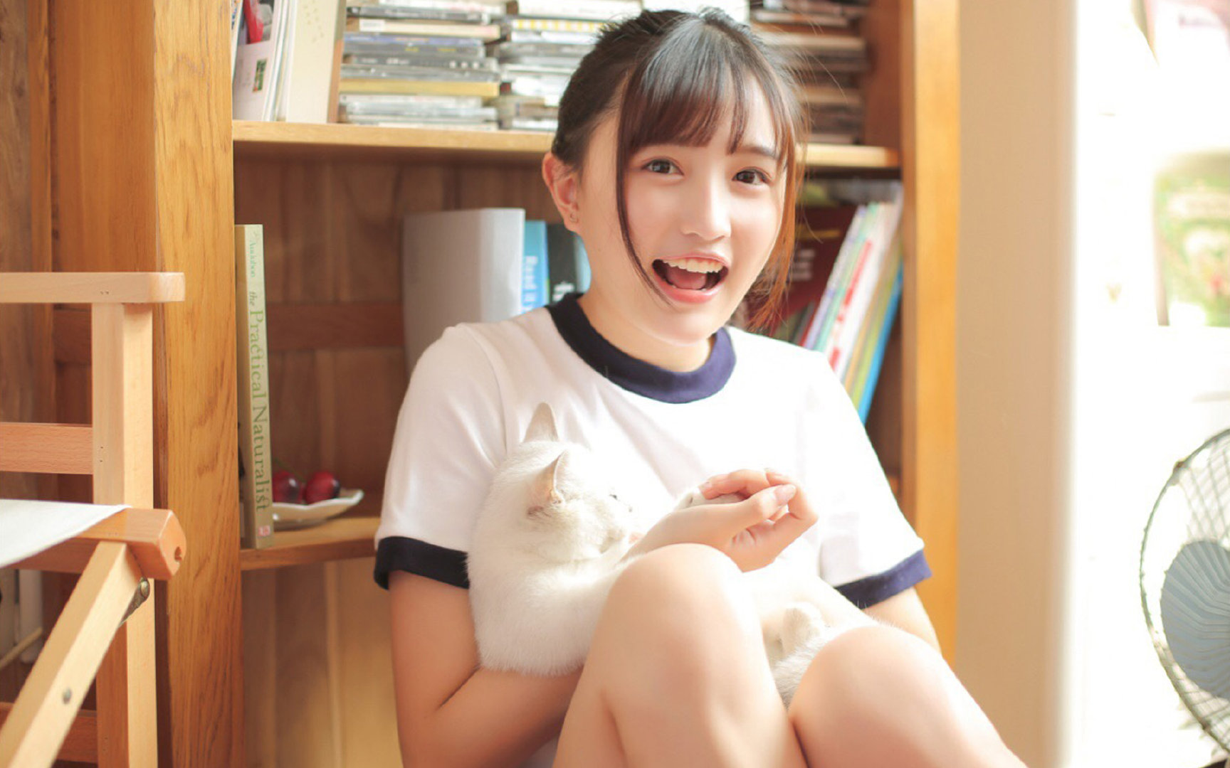 悉尼国王战术调整见成效,悉尼国王队名单