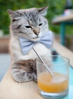 梅西成美洲杯出场最多球员,达39场,梅西美洲杯几次