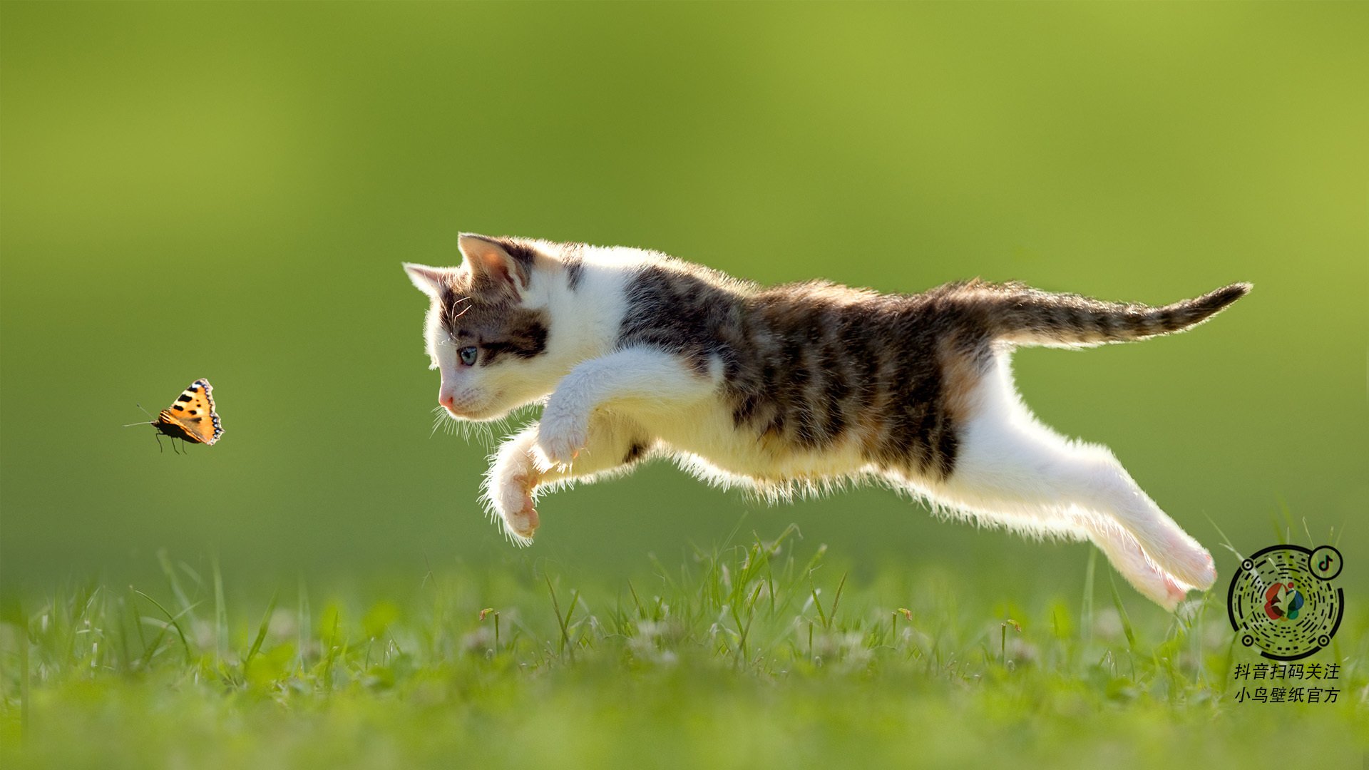 开云中国官网-体育公共服务平台满意度调查与优化策略，体育公共服务均等化