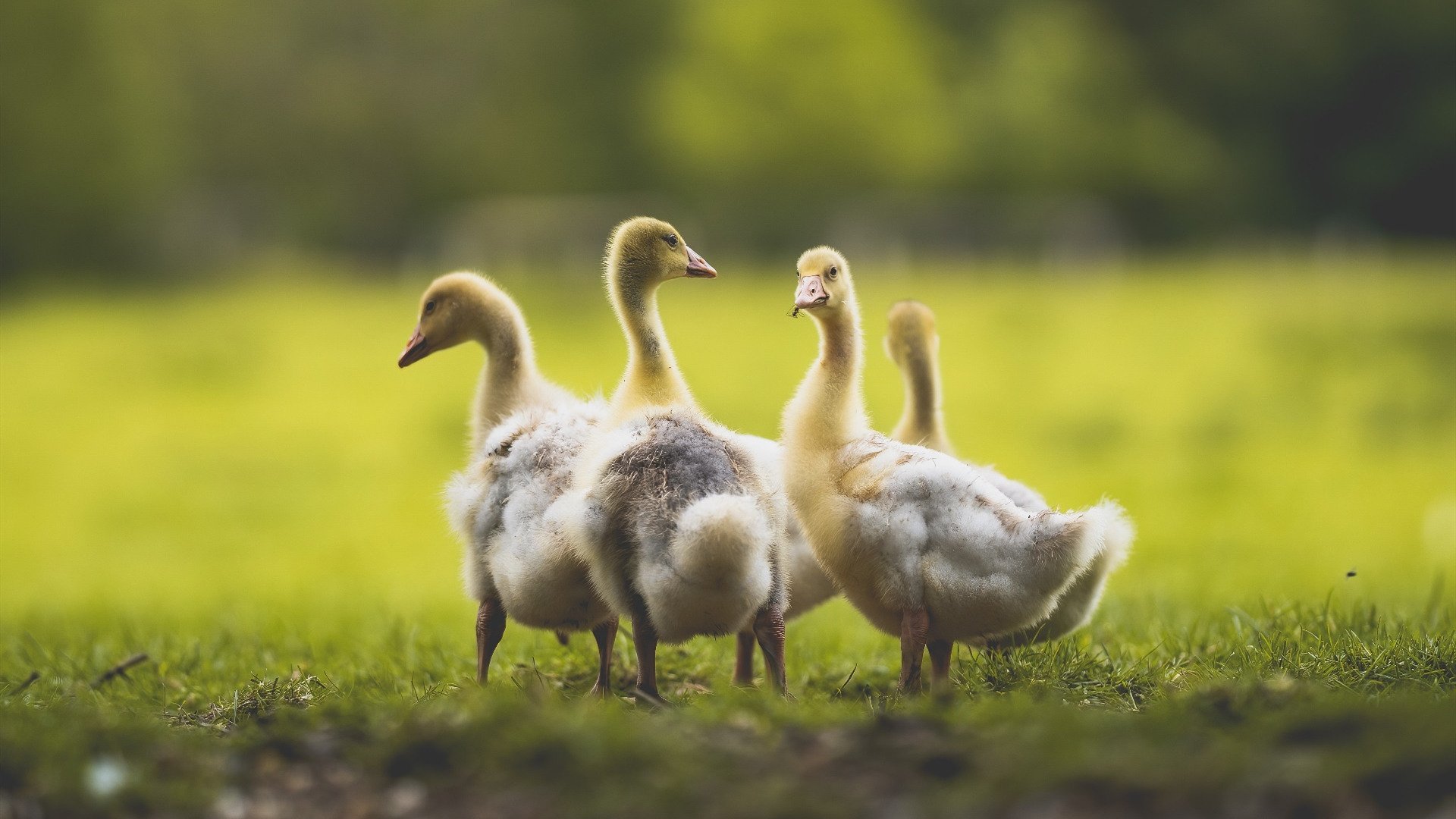 城市体育资源配置公平性评估报告，体育资源配置是什么