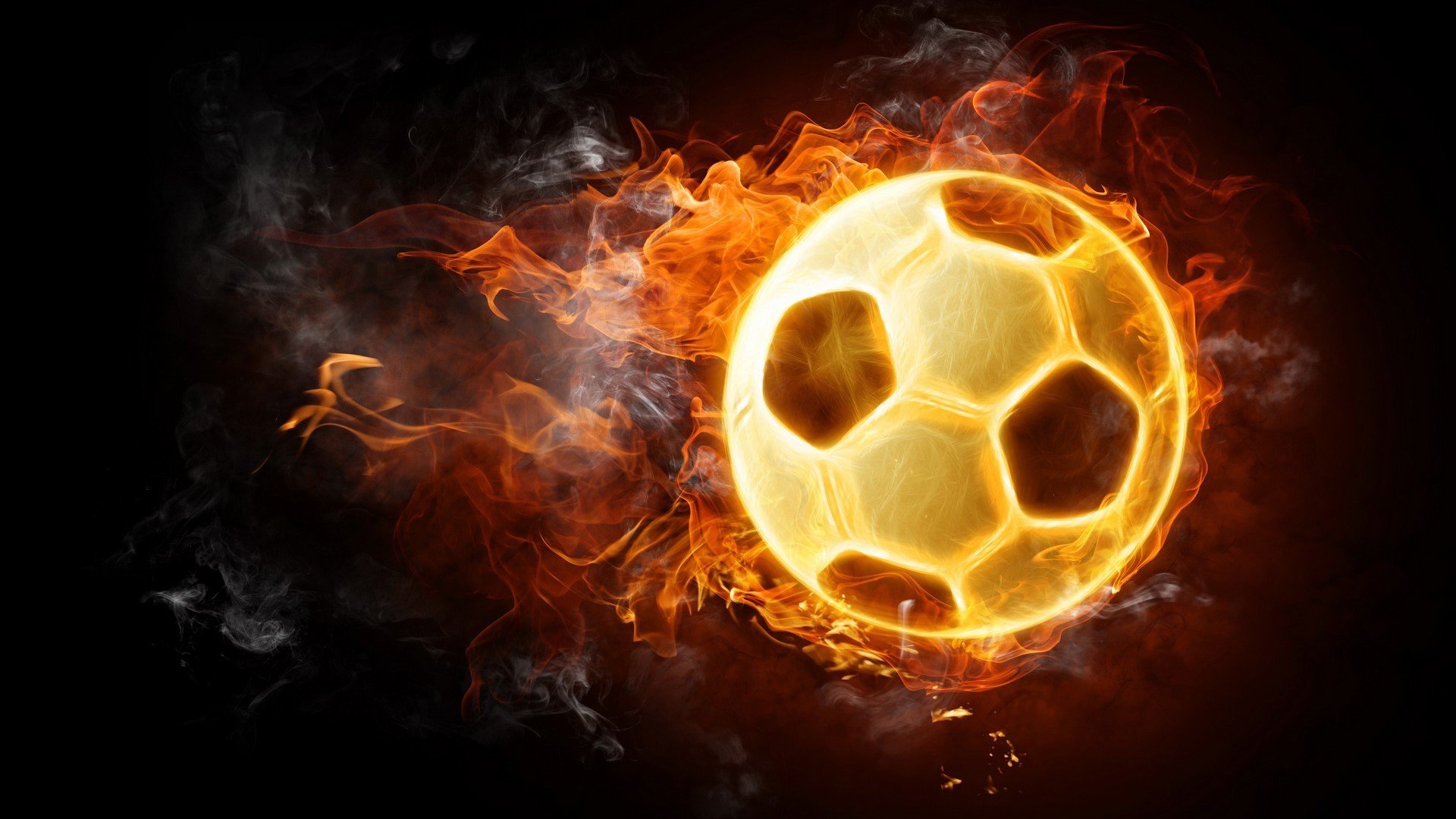 运动员职业发展支持,运动员职业发展支持方案