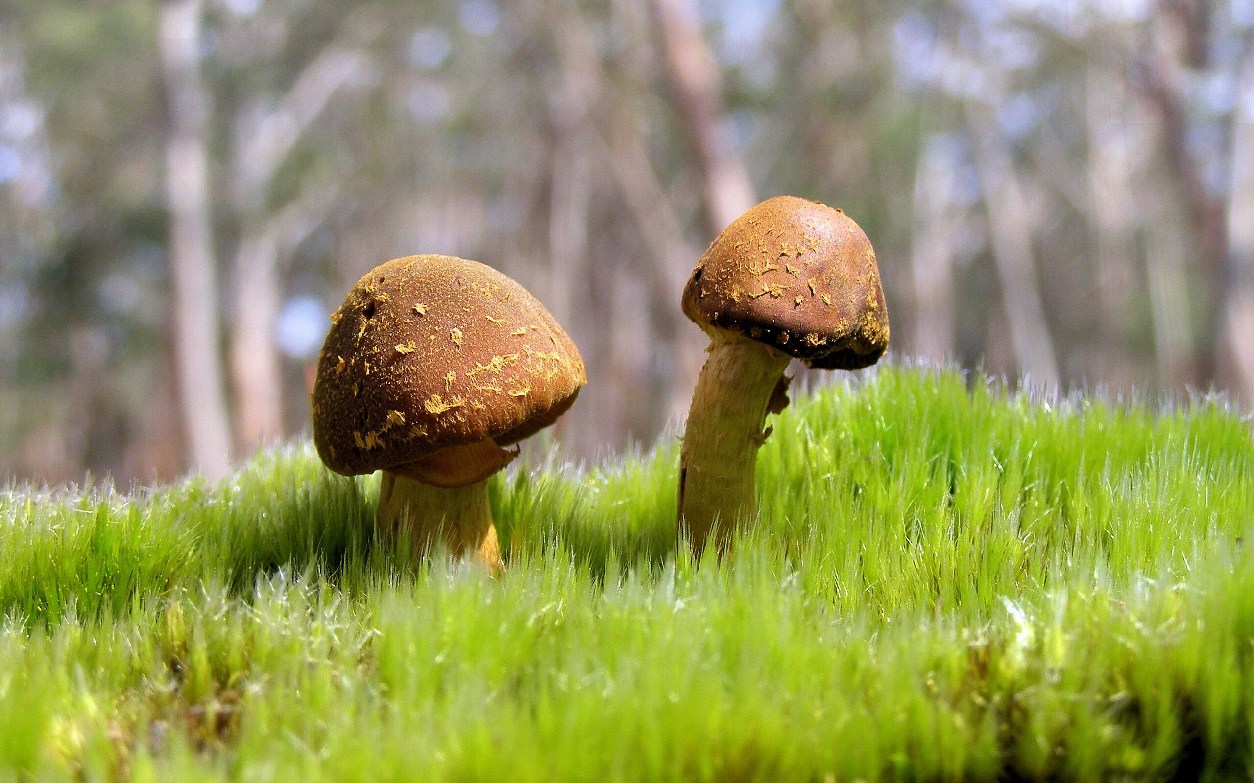 开云体育官网入口-CBA球队积极利用科技辅助训练 提升竞技水平，cba篮球技术