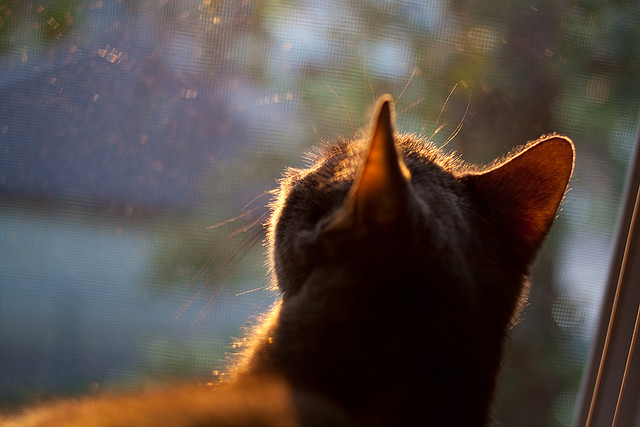 中国女篮提升防守轮转速度构建铁壁防线，中国女篮练练