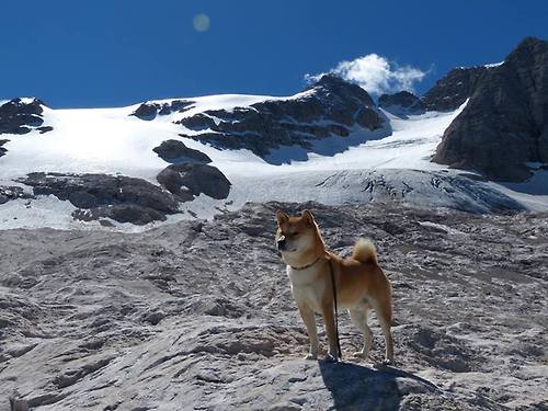 体育明星代言的边界在哪,体育明星代言人