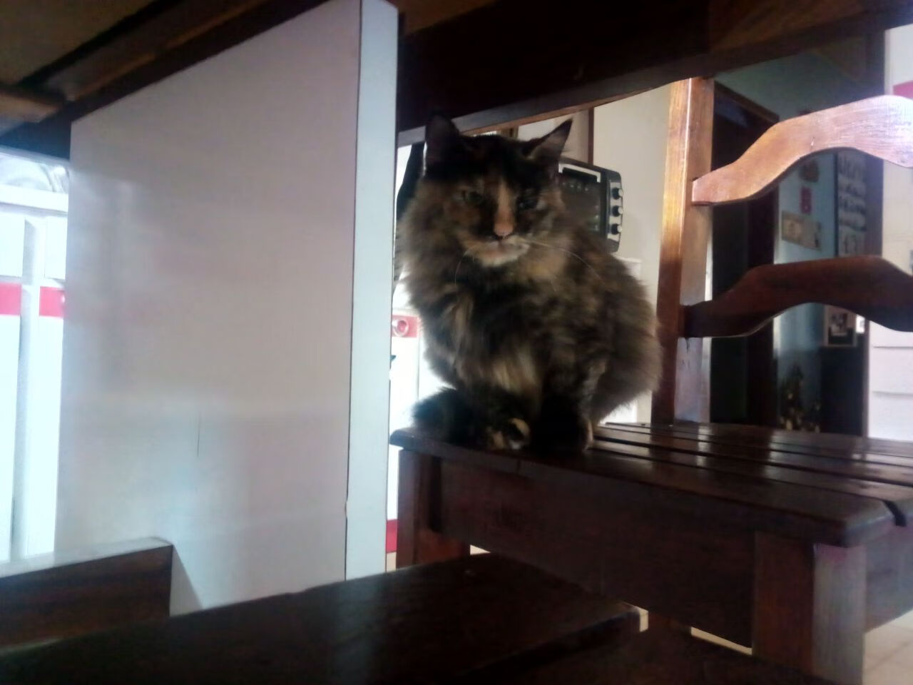 全国游泳冠军赛新星频出成绩突破预期，全国游泳冠军赛2021成绩