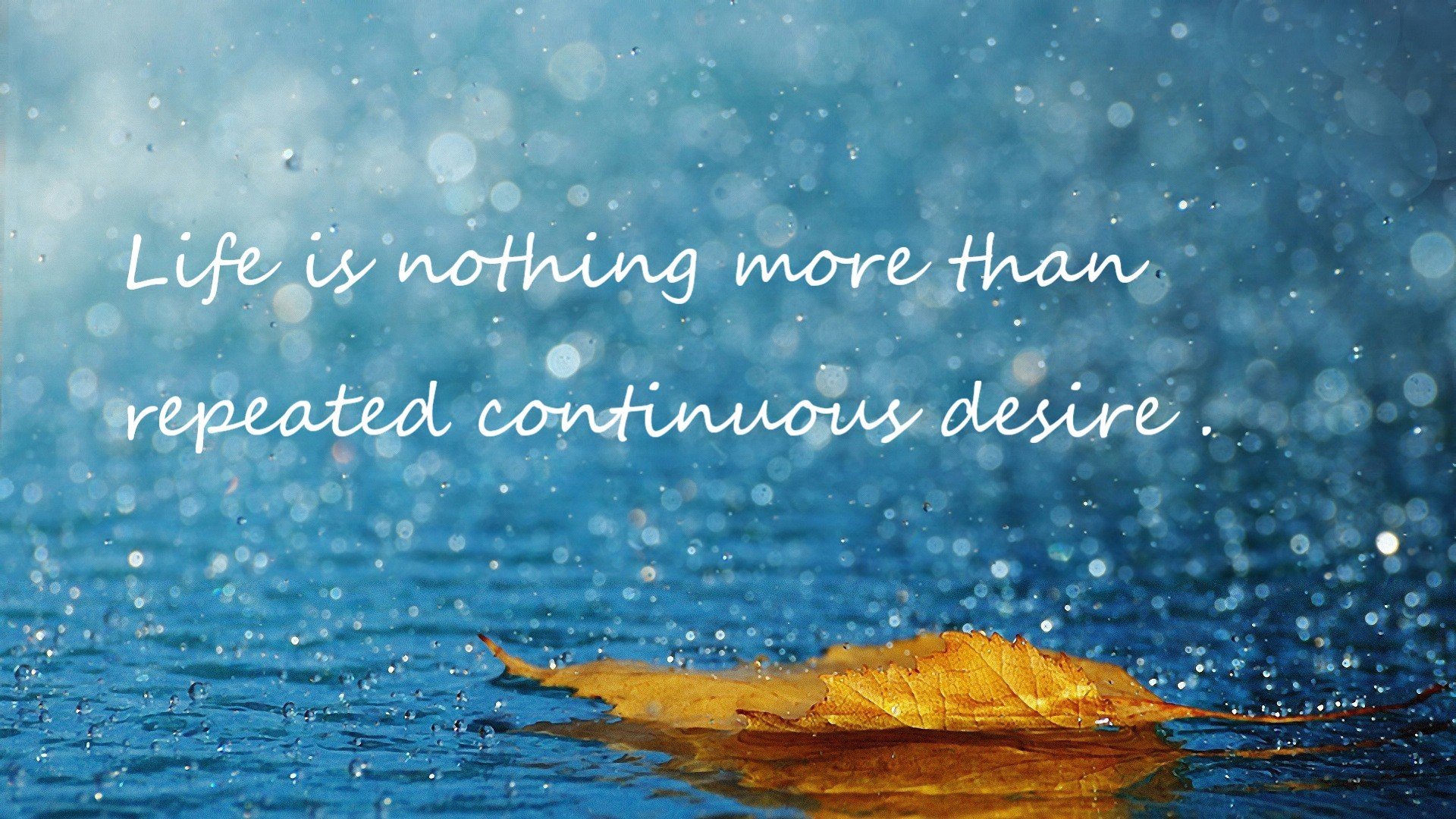 开云权威入口-后防线传球稳定性是否优于高压出球策略，足球后防线是什么意思