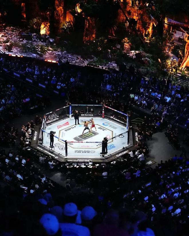 UFCMMA比赛：对抗的艺术与技巧的简单介绍